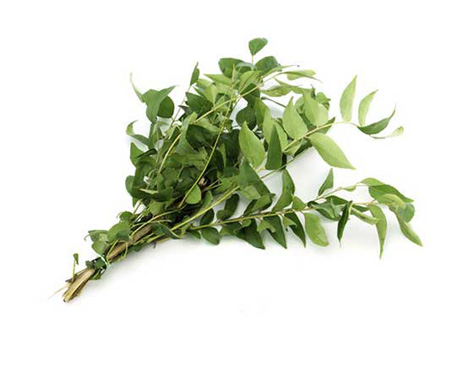 curry-leaves