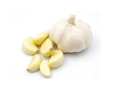 garlic